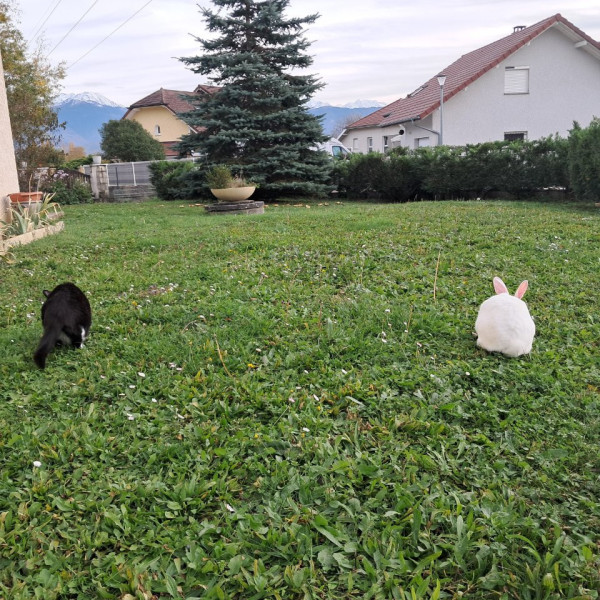 Photo du logement