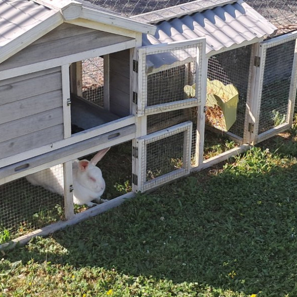 Photo du logement