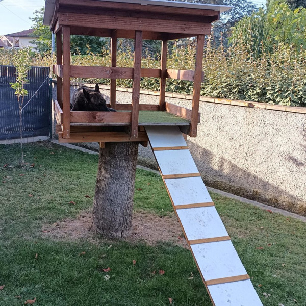 Photo du logement