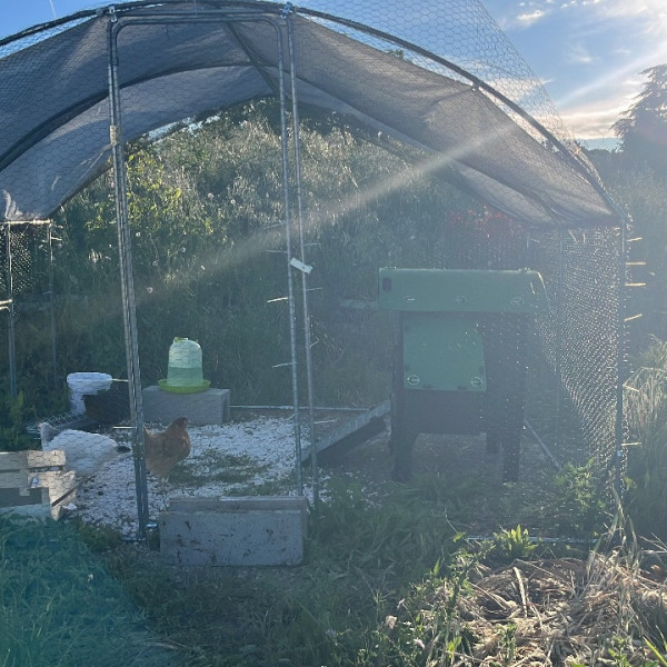 Photo du logement