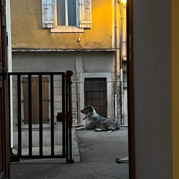 Photo du logement