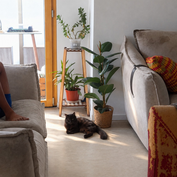 Photo du logement