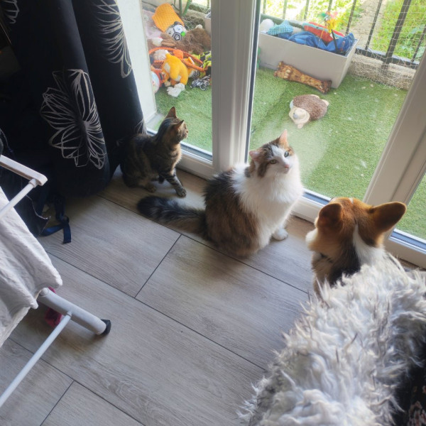 Photo du logement
