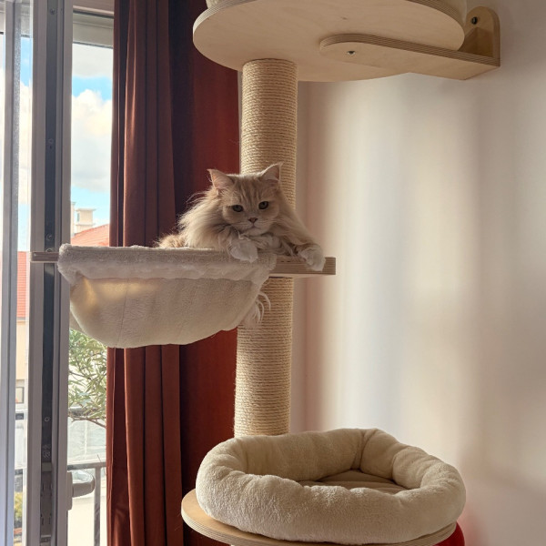 Photo du logement