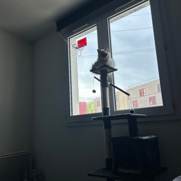 Photo du logement