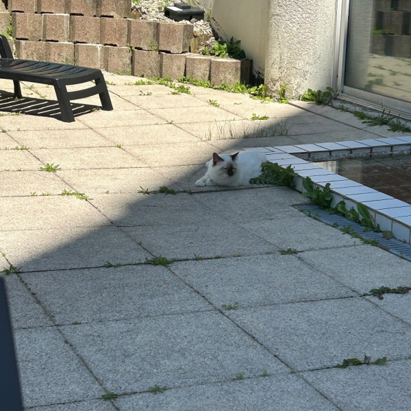 Photo du logement