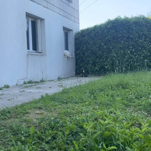 Photo du logement