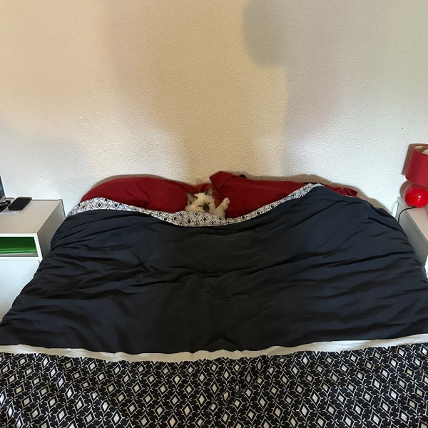 Photo du logement
