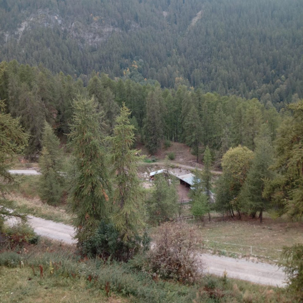 Photo du logement