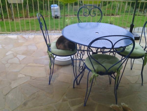 Photo du logement