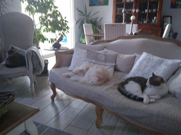Photo du logement
