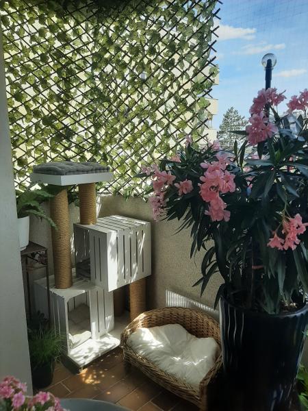 Photo du logement
