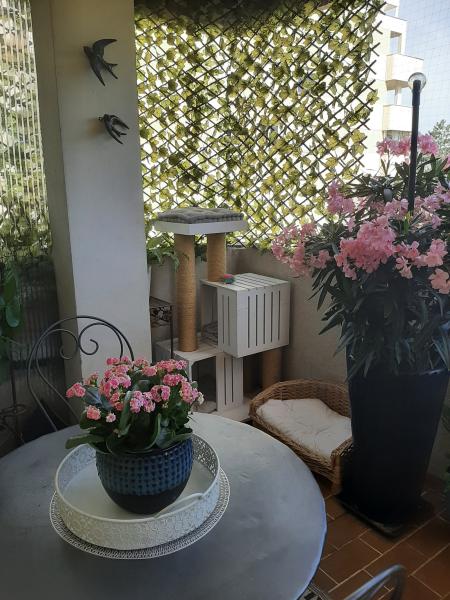Photo du logement