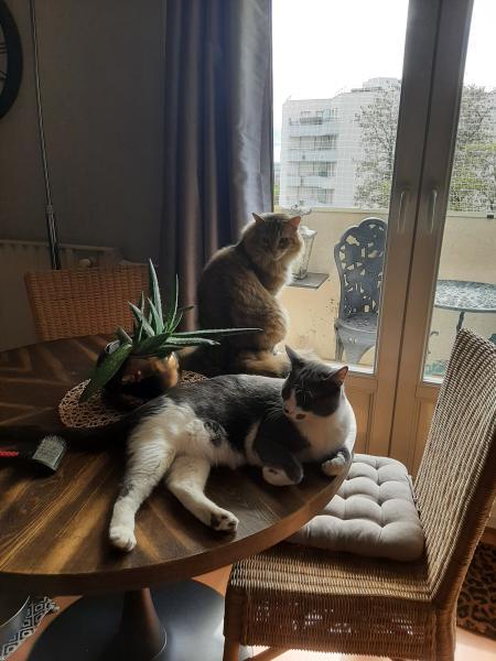 Photo du logement