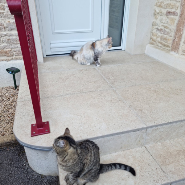 Photo du logement