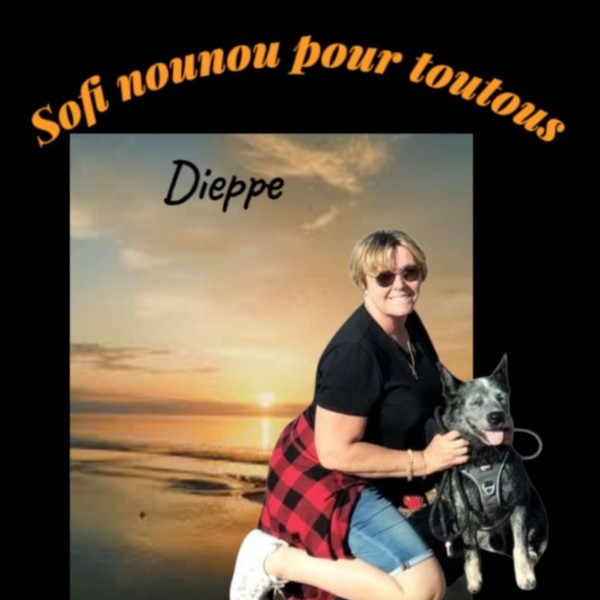 Photo du logement