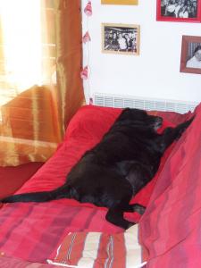Photo du logement