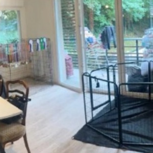Photo du logement