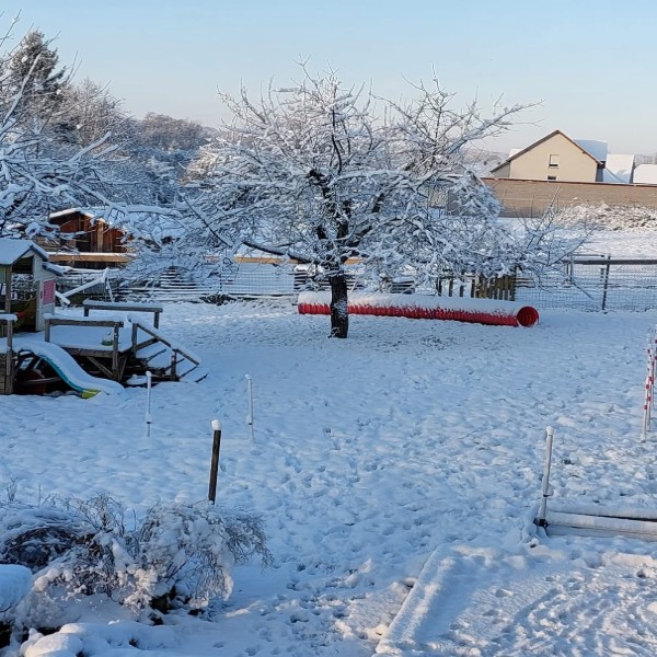 Photo du logement