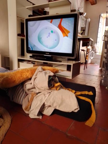 Photo du logement