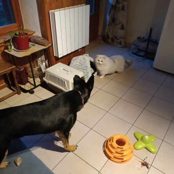 Photo du logement