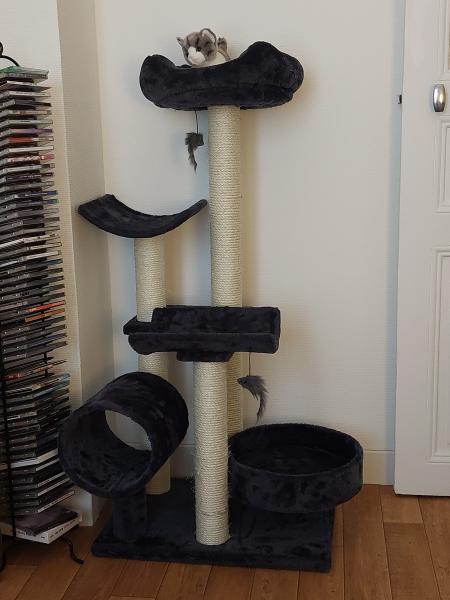 Photo du logement