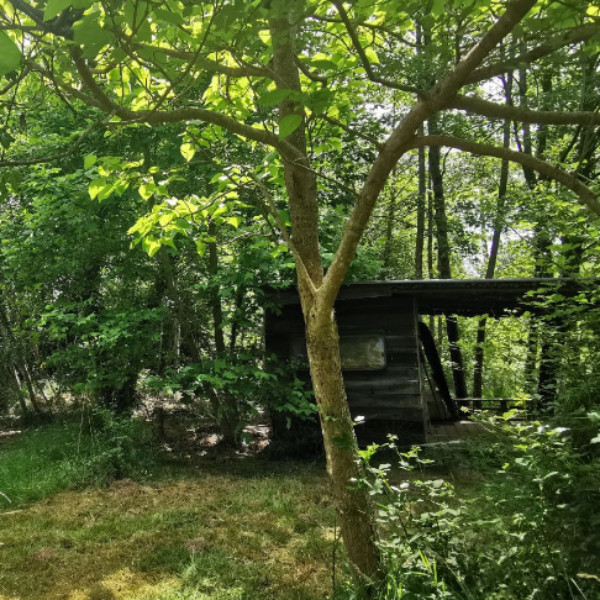 Photo du logement