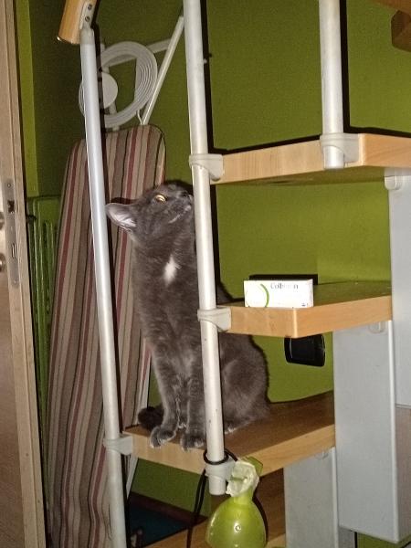 Photo du logement