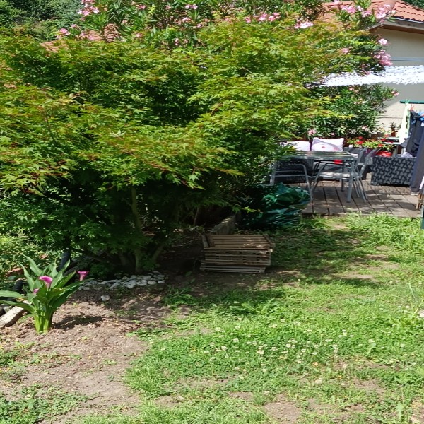 Photo du logement