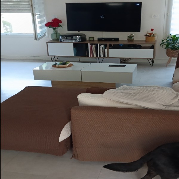 Photo du logement