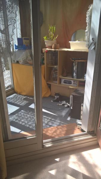 Photo du logement
