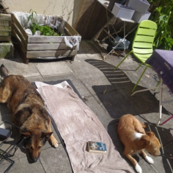 Photo du logement