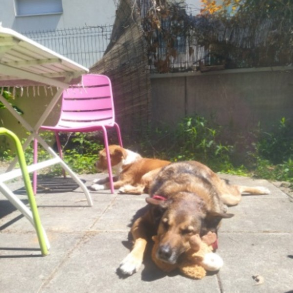 Photo du logement