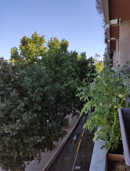Photo du logement