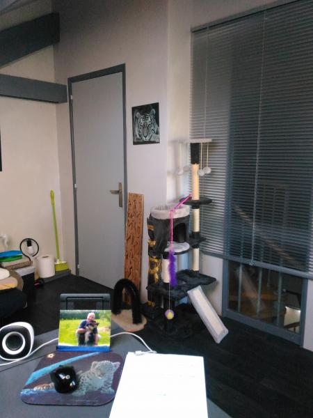 Photo du logement