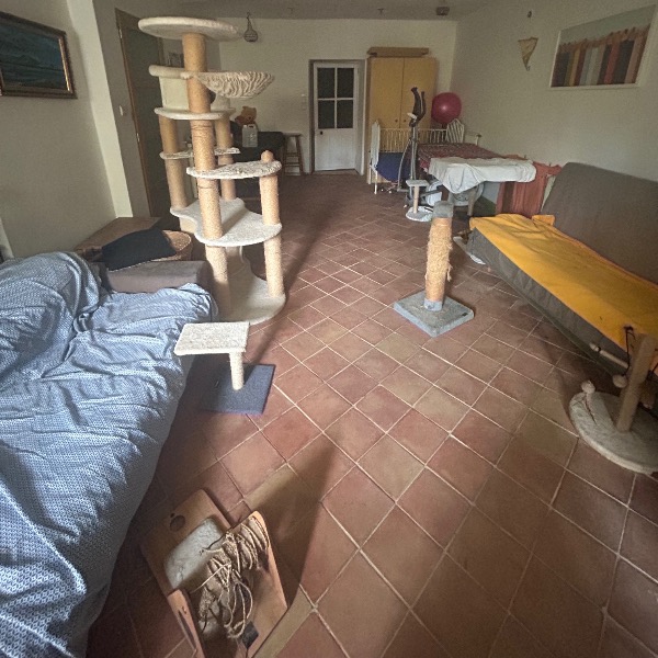 Photo du logement