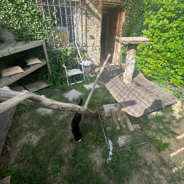 Photo du logement