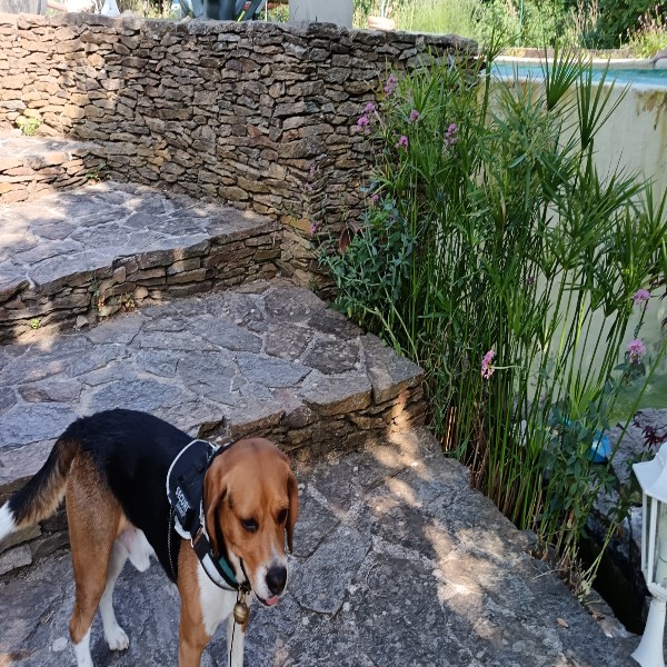 Photo du logement