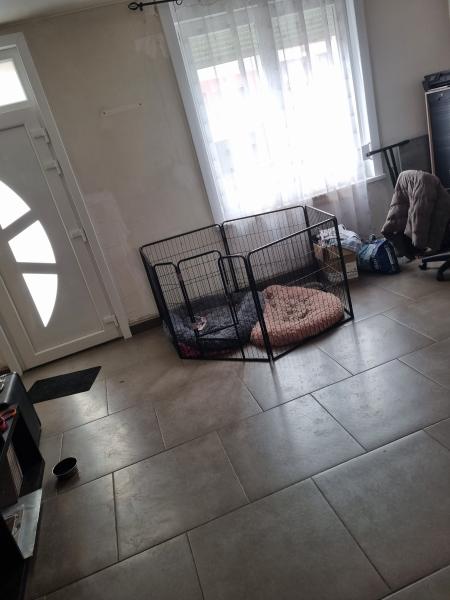 Photo du logement