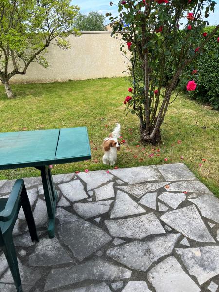 Photo du logement