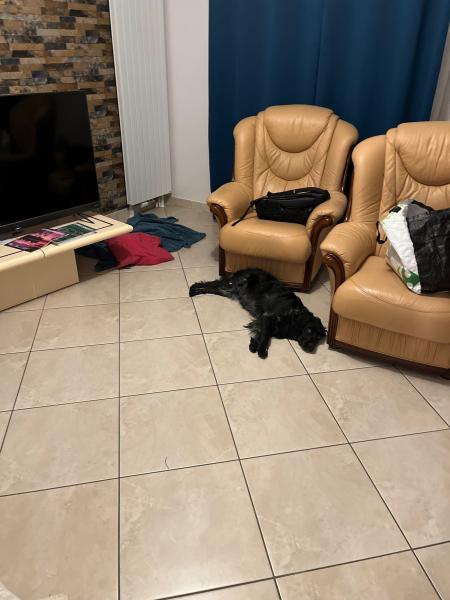 Photo du logement