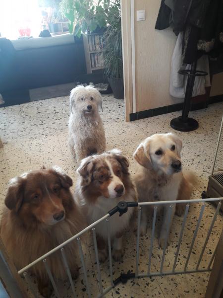 Photo du logement
