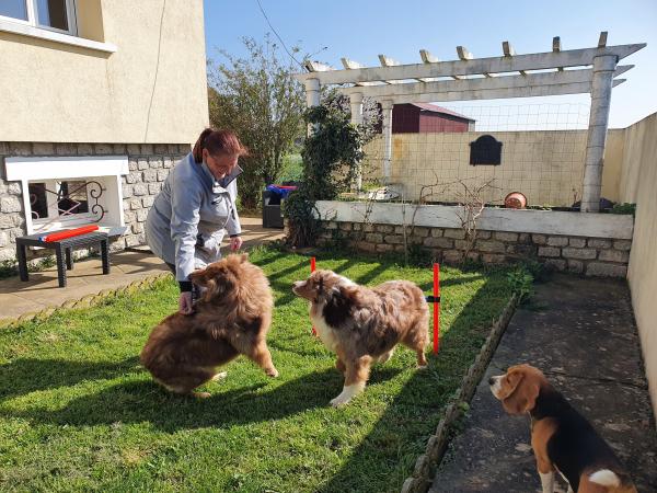 Photo du logement