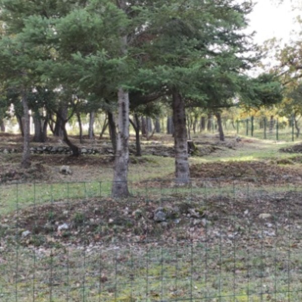 Photo du logement