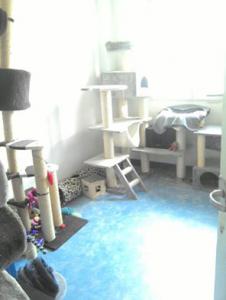 Photo du logement