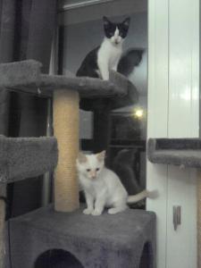 Photo du logement