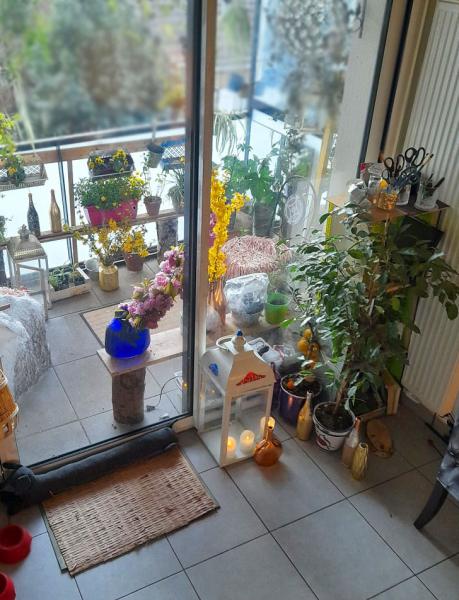 Photo du logement