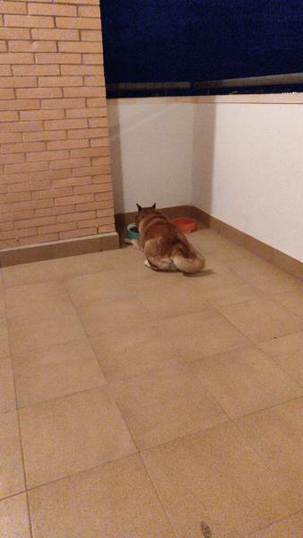 Photo du logement