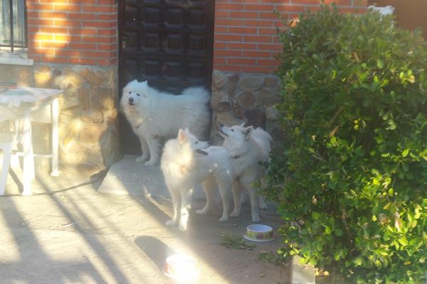 Photo du logement