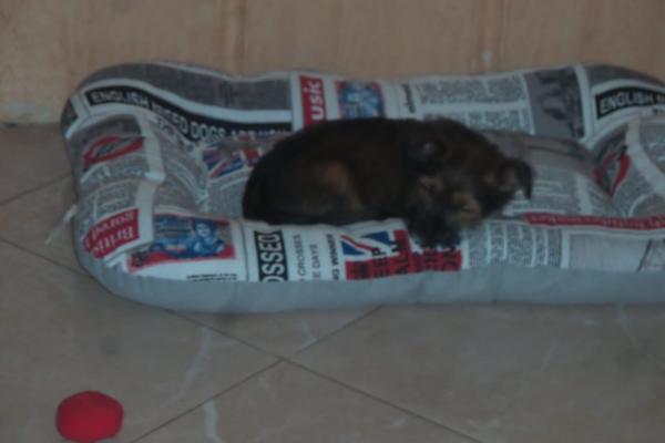 Photo du logement